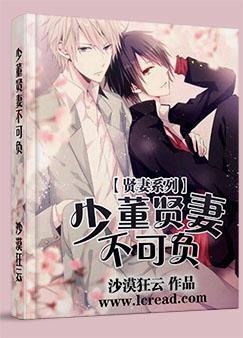 少董贤妻不可负by