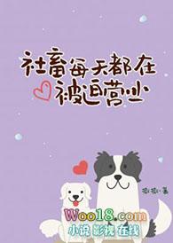 社畜每天都在被迫营业 作者撒撒