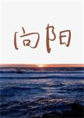 向阳葵