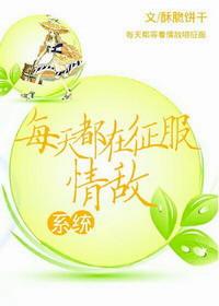 每天都在征服情敌电视剧
