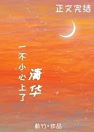 一不小心上清华类似