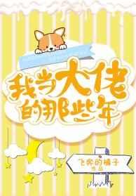 我当大佬的那些年讲了什么
