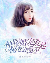 暖婚似火神秘老公宠入怀免费阅读