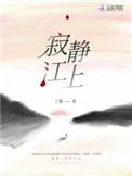 寂静江上 丁墨好看吗