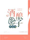 酒酿圆子有点甜