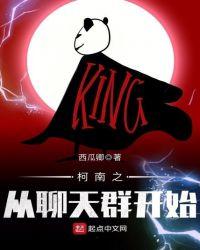 柯南之从聊天群开始 顶点