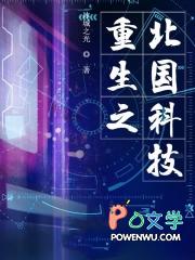 重生之北国科技123读