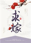 风流一夜高冷总裁带娃求嫁
