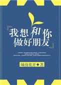 我想和你做好朋友作者城南花开
