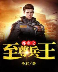 都市之至尊兵王林