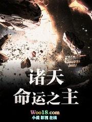 诸天命运之主TXT奇书网