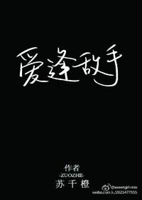 爱逢敌手电视剧