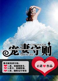 宠妻守则作者月落星河