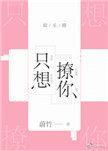 只想撩你免费阅读