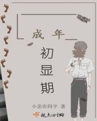 成年初显期群社会影响