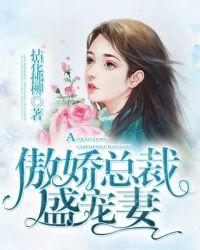 傲娇总裁爱上我