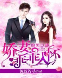 腹黑总裁的傲娇妻免费阅读