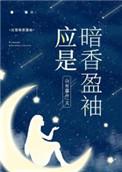 应是暗香盈袖结局是什么