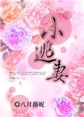 致命霸宠全球通缉小逃妻