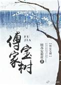傅家家族故事