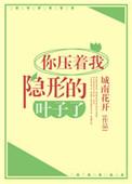 你压着我隐形的叶子了作者城南花开