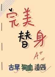 完美替身宠袂全文
