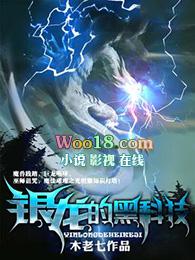 银龙的黑科技好看吗