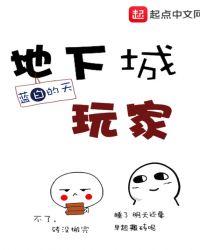 地下城玩家评价