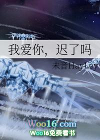 我爱你我错了吗