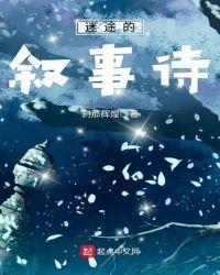迷途的叙事诗讲的什么