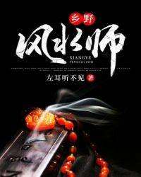 乡野风水师TXT