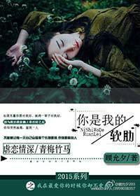 你是我的软肋愿做你的铠甲歌词