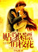 贴身保镖介绍