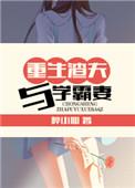 重生渣夫与学霸妻百度资源