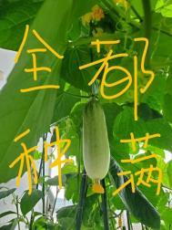 修真界把我当团宠 简介