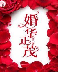 婚华正茂txt
