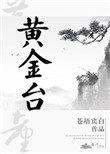 黄金台是双男主吗