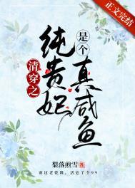清穿之贵妃只想做咸鱼冰水