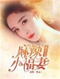 重回九零麻辣小娇妻全文阅读