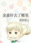 金嘉轩去了哪里2番外