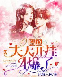 陆总夫人开挂a报了