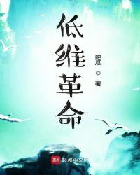 低维革命 看不下去