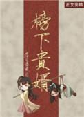 榜下贵婿免费阅读无弹窗