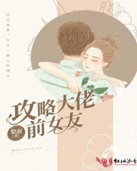 攻略大佬的好感度