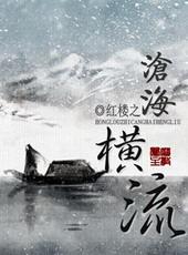 红楼之沧海恒流