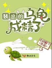 裴总的乌龟成精了免费阅读