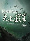 斗破苍穹之无上之境全文免费阅读
