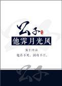 公子他霁月光风好看吗