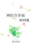 神医许多福 txt