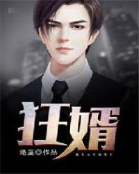 狂婿免费阅读